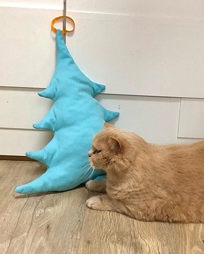kat ligt bij een blauwe kerstboom op de grond